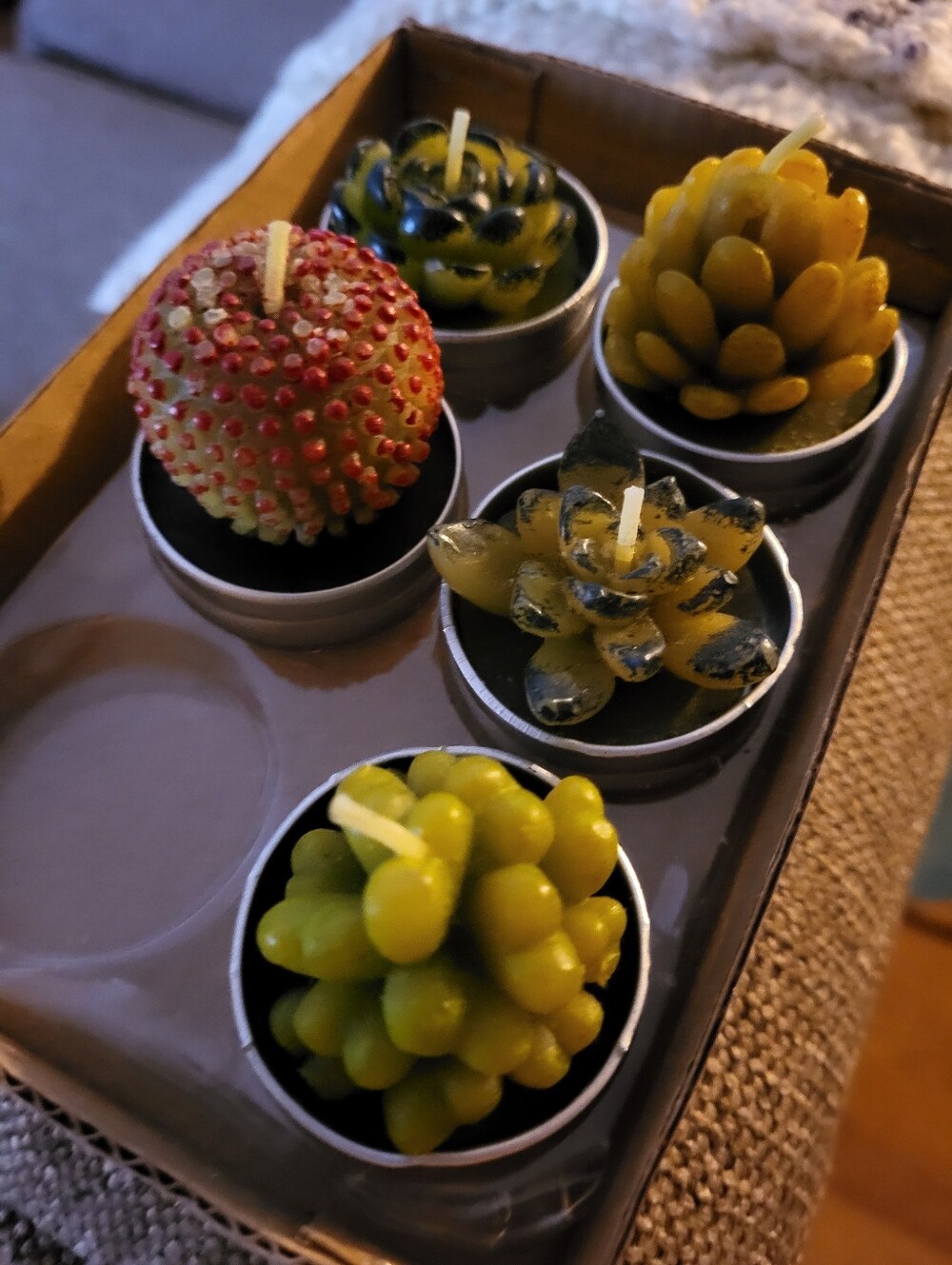 5 Decorative Succulent Tealight Candle Set - Red Green and Yellow